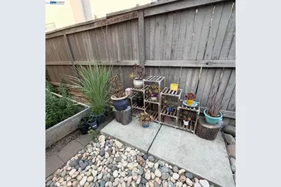 9609 Flame Tokay Way, Elk Grove, CA 95624 - Photo 18