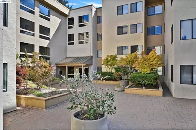 545 Pierce St #3204, Albany, CA 94706 - Photo 28