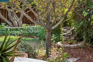 130 Greenway Dr, Walnut Creek, CA 94596 - Photo 40