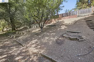 2451 Palmira Pl, San Ramon, CA 94583 - Photo 48