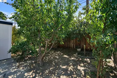 456 Hollywood Ave, Tracy, CA 95376 - Photo 6