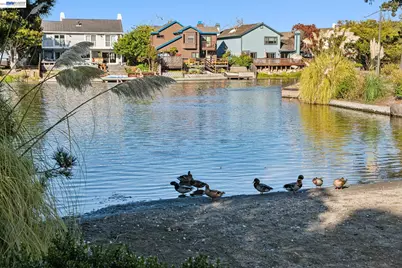 169 Diapian Bay, Alameda, CA 94502 - Photo 1