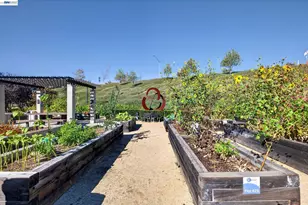 375 Basswood Common, Livermore, CA 94551 - Photo 32