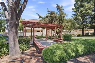 1167 Saint Matthew Pl, Concord, CA 94518 - Photo 16