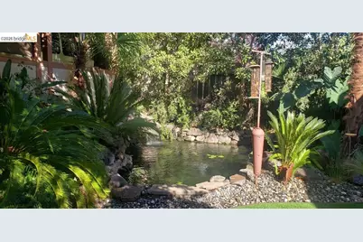 3402 Hall Ln, Lafayette, CA 94549 - Photo 6