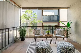 567 Oakland Ave, Oakland, CA 94611 - Photo 6