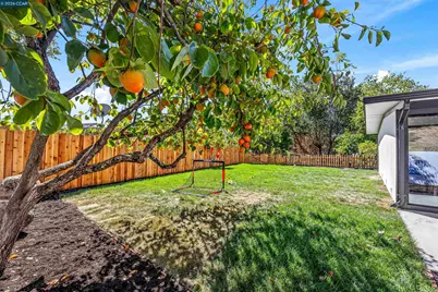 742 Miner Rd, Orinda, CA 94563 - Photo 74