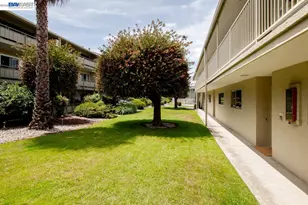 339 Broadway, Alameda, CA 94501 - Photo 58