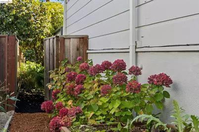 2659 Carisbrook Dr, Oakland, CA 94611 - Photo 88