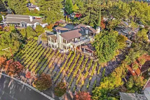 13 Kemp Ct, Alamo, CA 94507 - Photo 50