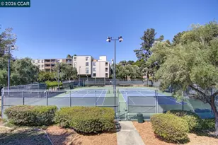 460 Civic Dr, Walnut Creek, CA 94596 - Photo 24