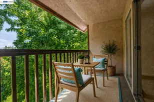1540 Center Rd, Novato, CA 94947 - Photo 4