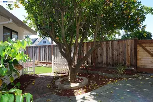 38011 Temple Way, Fremont, CA 94536 - Photo 60