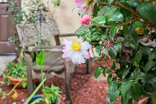 2506 Galleon Pl, San Leandro, CA 94577 - Photo 8