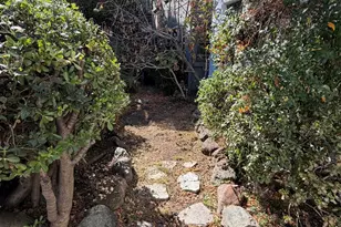 3999 Clarke St, Oakland, CA 94609 - Photo 12
