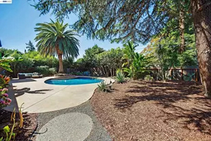 1759 Crescent Dr, Walnut Creek, CA 94598 - Photo 42