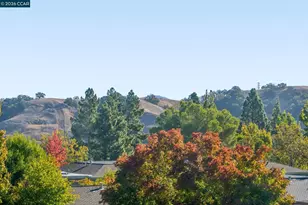 1332 Singingwood Ct, Walnut Creek, CA 94595 - Photo 42