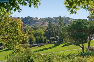 1332 Singingwood Ct, Walnut Creek, CA 94595 - Photo 76