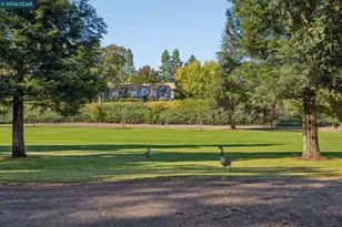 1332 Singingwood Ct, Walnut Creek, CA 94595 - Photo 72