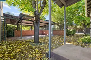 51 Bradley Ave, Walnut Creek, CA 94596 - Photo 46