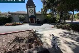 1116 Running Springs Rd, Walnut Creek, CA 94595 - Photo 22