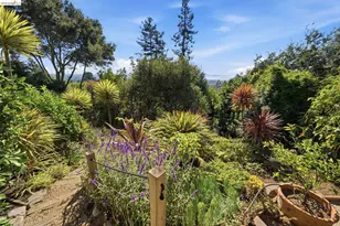 2877 Buena Vista Way, Berkeley, CA 94708 - Photo 44