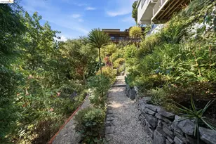 2877 Buena Vista Way, Berkeley, CA 94708 - Photo 42