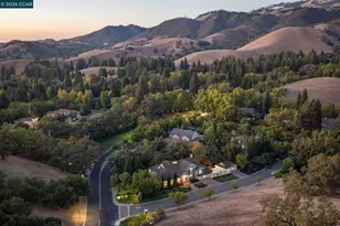 1 Brooktree Dr, Danville, CA 94506 - Photo 10