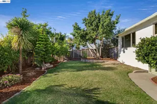 3636 Arcadian Dr, Castro Valley, CA 94546 - Photo 52