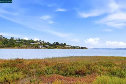 14 Hyannis Cove, San Rafael, CA 94901 - Photo 38