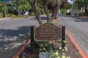 2596 Oak Rd, Walnut Creek, CA 94597 - Photo 42