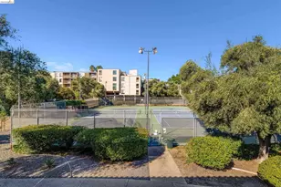 490 Civic Dr, Walnut Creek, CA 94596 - Photo 26