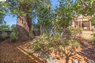 80 Hazel Rd, Berkeley, CA 94705 - Photo 66
