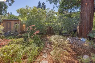 80 Hazel Rd, Berkeley, CA 94705 - Photo 64