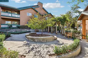 204 Stone Pine Ln, San Ramon, CA 94583 - Photo 28