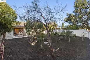 402 Vineyard Pl, Pleasanton, CA 94566 - Photo 34
