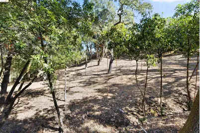 822 Acalanes Rd, Lafayette, CA 94549 - Photo 8