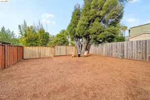 1537 Carleton St, Berkeley, CA 94703 - Photo 48