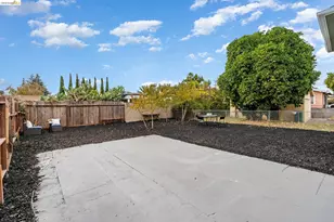 8821 Dowling St, Oakland, CA 94605 - Photo 26