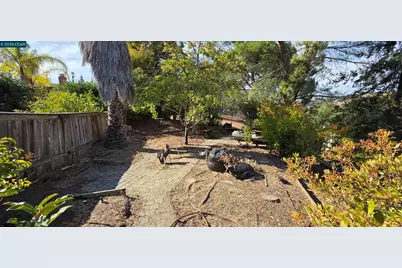 429 Roanoke Dr, Martinez, CA 94553 - Photo 38