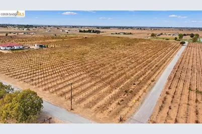 2600 Tule Ln, Knightsen, CA 94548 - Photo 8