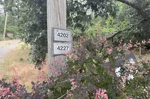 4227 Meadow View Rd, Murphys, CA 95247 - Photo 1