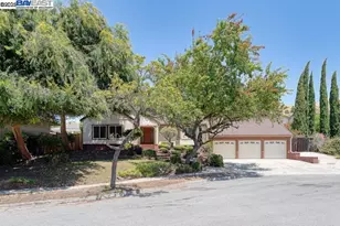 41366 Charlita Ct, Fremont, CA 94539 - Photo 1