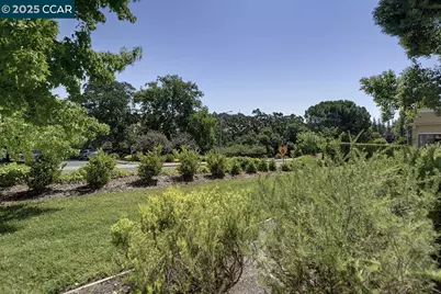 1125 Singingwood Ct #4, Walnut Creek, CA 94595 - Photo 1