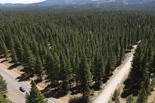 45 Claireville Rd, Portola, CA 96122 - Photo 1