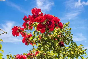 38012 Dover Common, Fremont, CA 94536 - Photo 1