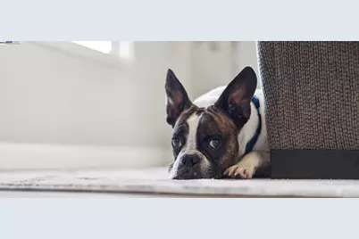 5531 Calico Ln, Pleasanton, CA 94566 - Photo 60