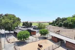 3335 Kellogg Creek Rd, Byron, CA 94514 - Photo 1