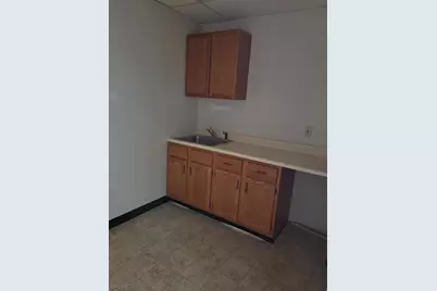 488 Schooleys Mtn Rd, Washington Township, NJ 07840 - Photo 8