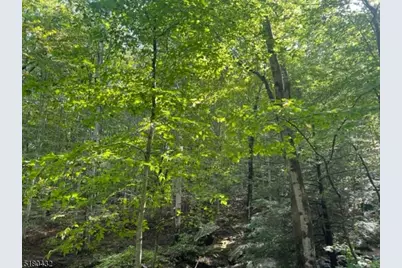 0 U.S. 46, Mine Hill, NJ 07803 - Photo 1